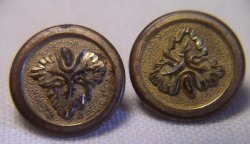 (image for) Civil War era D Evans Brass Buttons EXTRA with Oak Leaf Shank