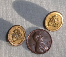 (image for) Civil War era D Evans Brass Buttons EXTRA with Oak Leaf Shank