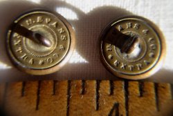 (image for) Civil War era D Evans Brass Buttons EXTRA with Oak Leaf Shank